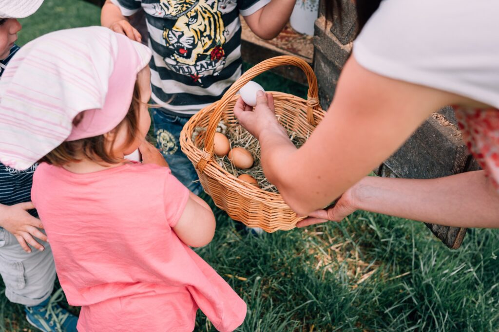Kinder sammeln die frischen Eier von den Hühnern