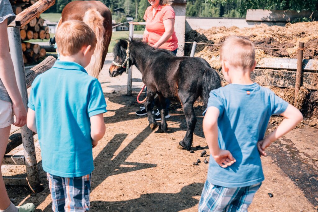 Kinder mit einem kleinen Pony (c) UAB Salzburg