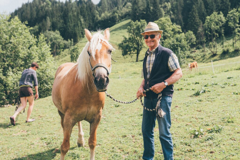 Älterer Herr mit einem Haflinger auf der Weide