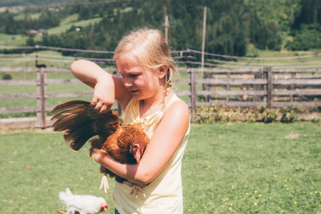 Kind streichelt die Federn eines Huhn (c) UAB Salzburg