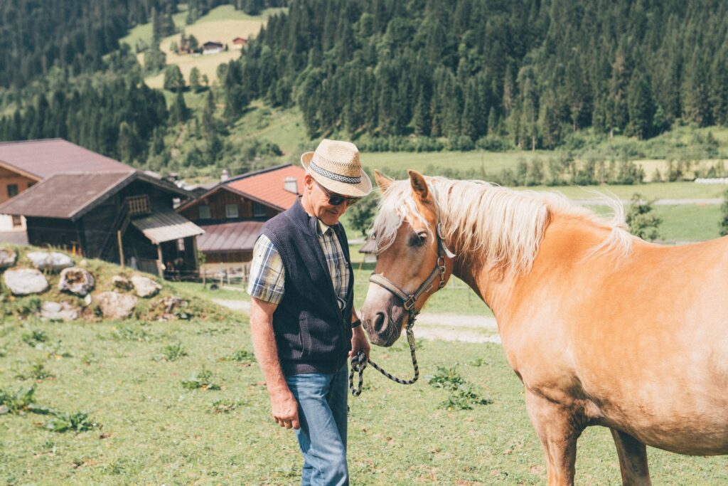 Pferd der Big 5 mit dem Bauern auf der Weide