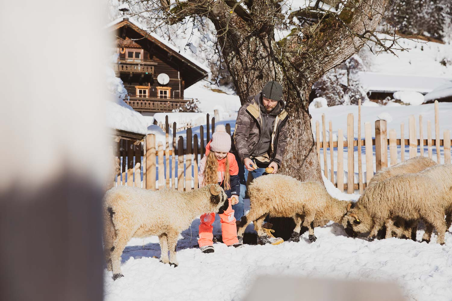 Familie mit Schafen im Schnee (c) UAB Salzburg.